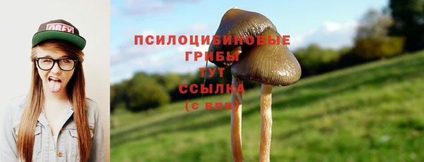 крисы Каменск-Шахтинский