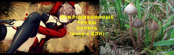 крисы Каменск-Шахтинский