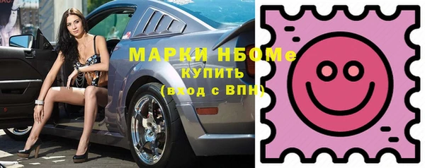 хмурый Ветлуга